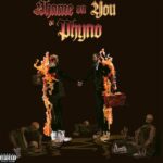 Prettyboy D-O – Shame on You ft. Phyno