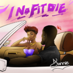 Dunnie – I No Fit Die