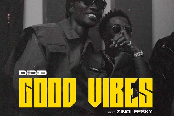 Didi B - Good Vibes ft. Zinoleesky