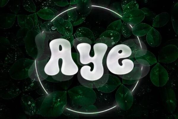 Professional Beat - Aye