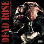 Yungeen Ace – Dead Rose