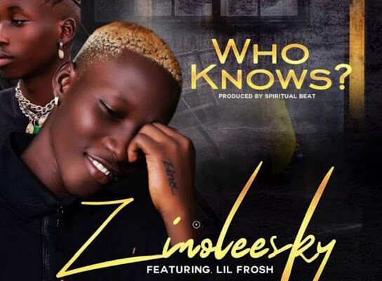 Zinoleesky - Who Knows ft. Lil Frosh