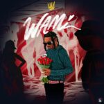 Zayo – Wami ft. Mayorkun