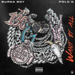 Burna Boy – Want It All ft. Polo G