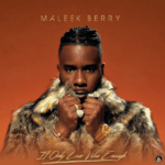 Maleek Berry – The Pain